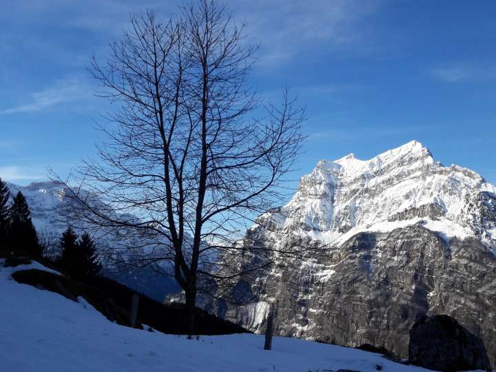 Schneeschuhtour Habergschwänd-Nüenalp