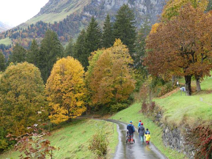 Flechtenlehrpfad Braunwald