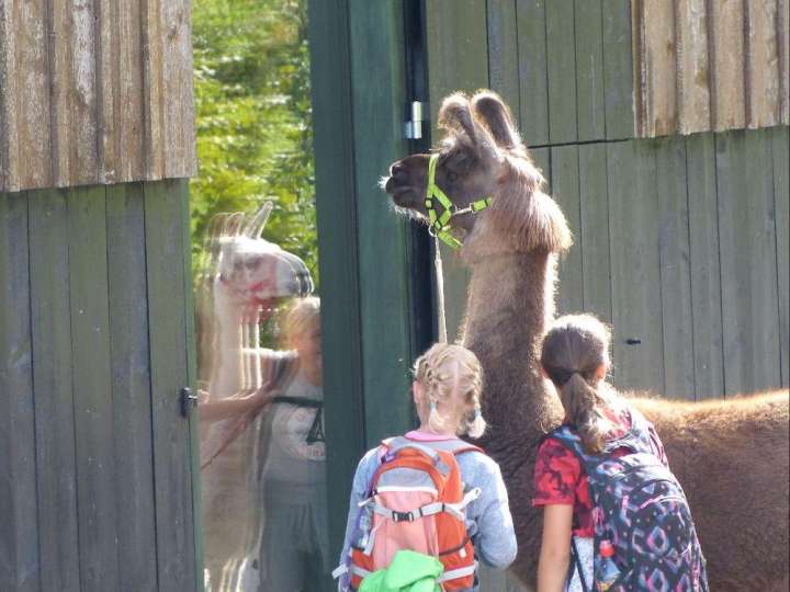 Lamatouren Kerenzerberg