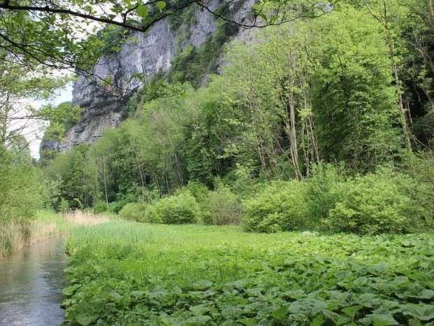 Waldreservat Gäsi-Rieterwald