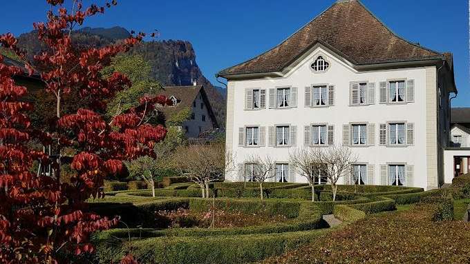 Museum Mollis