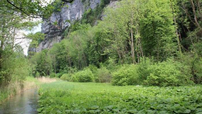 Waldreservat Gäsi-Rieterwald