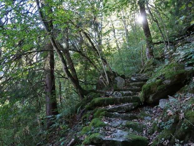 Waldreservat Gandwald