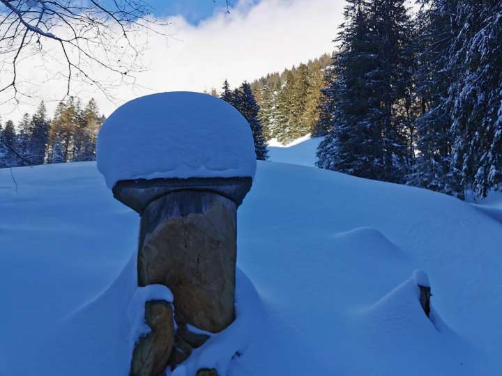 Geführte Schneeschuhtour Skulpturenweg Niederurner Täli 