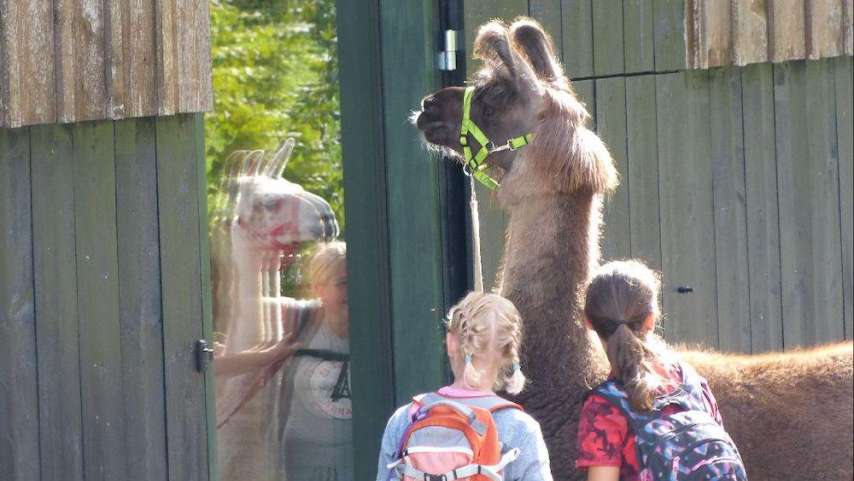 Lamatouren Kerenzerberg