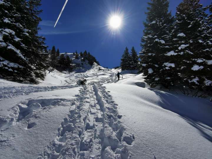 Schneeschuhtour Schilt