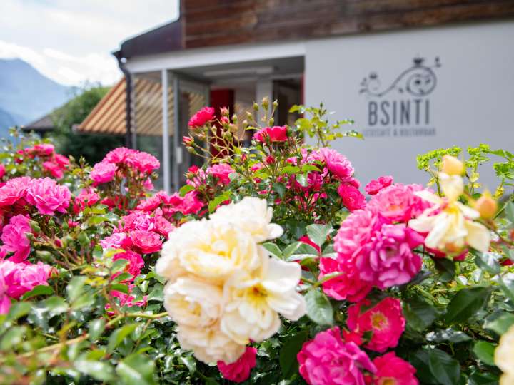 BSINTI - Kultur