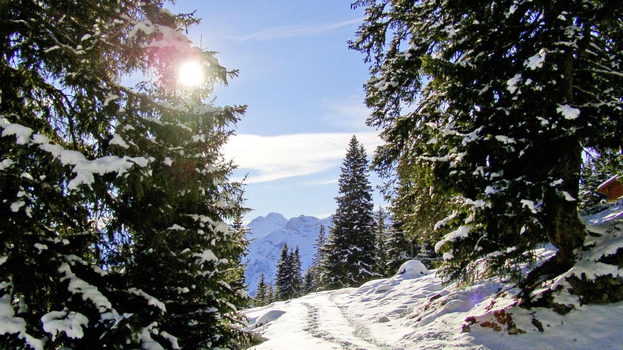 Schneeschuhtour Sunnähöräli