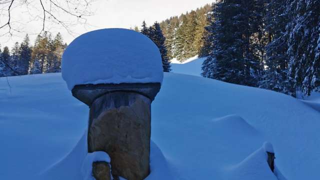 Geführte Schneeschuhtour Skulpturenweg Niederurner Täli 
