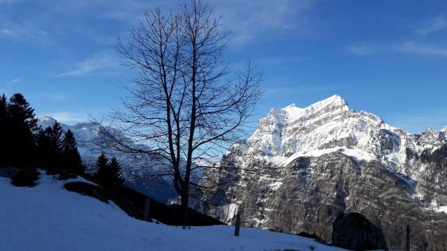 Schneeschuhtour Habergschwänd-Nüenalp