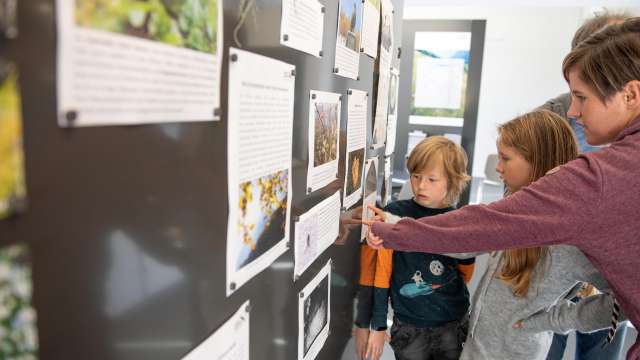 20.8.26 | Kurzführung durch die aktuellen Ausstellungen