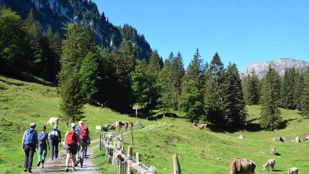 Ziger-Tour churz