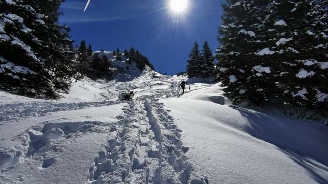 Schneeschuhtour Schilt